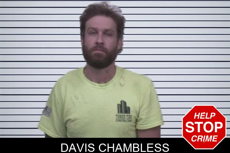 Davis Chambless mugshot – Sumter County , Georgia Davis Chambless mugshot