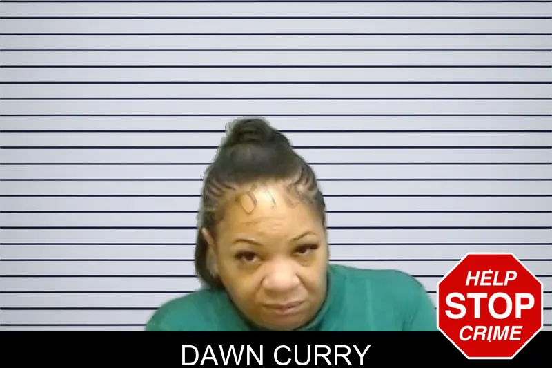 Dawn Curry mugshot – Fulton County , Georgia Dawn Curry mugshot