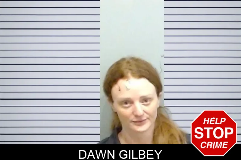 Dawn Gilbey mugshot – Fulton County , Georgia Dawn Gilbey mugshot