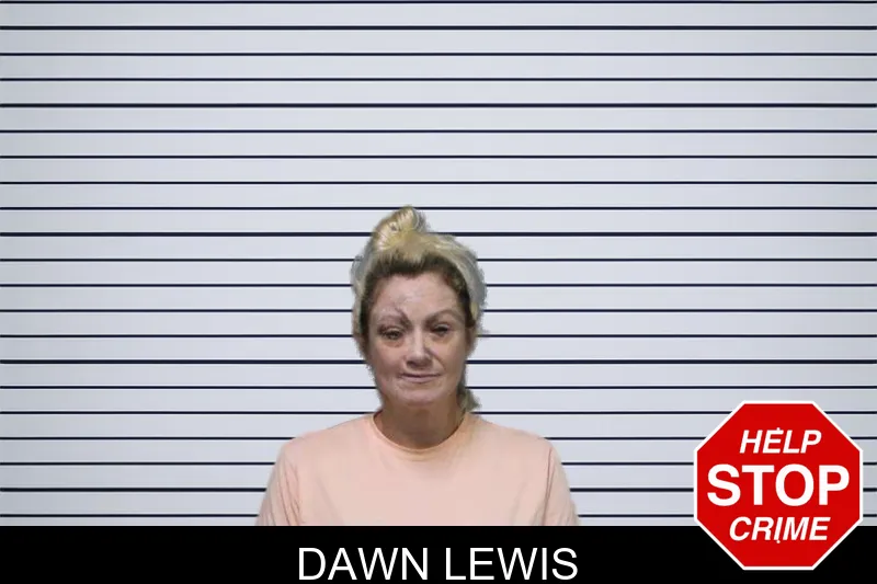 Dawn Lewis mugshot