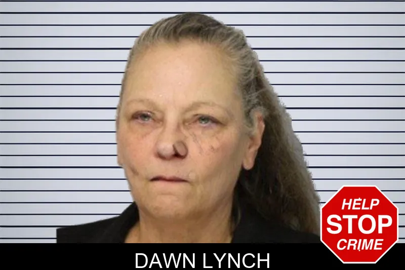 Dawn Lynch mugshot – Hall County , Georgia Dawn Lynch mugshot