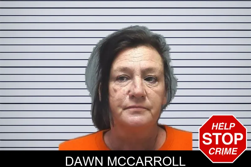 Dawn McCarroll mugshot