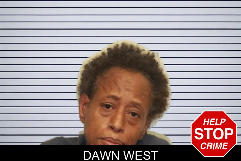 Dawn West mugshot – Chatham County , Georgia Dawn West mugshot
