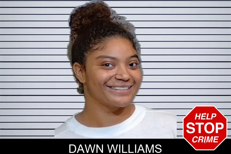 Dawn Williams mugshot – Glynn County , Georgia Dawn Williams mugshot