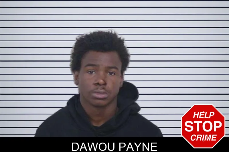 Dawou Payne mugshot – Washington County , Georgia Dawou Payne mugshot