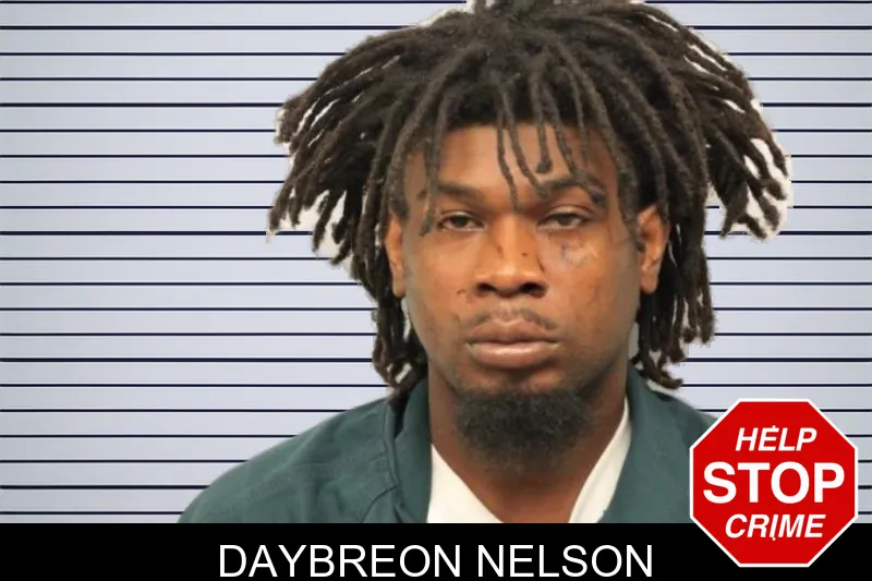 Daybreon Nelson mugshot – Chatham County , Georgia Daybreon Nelson mugshot