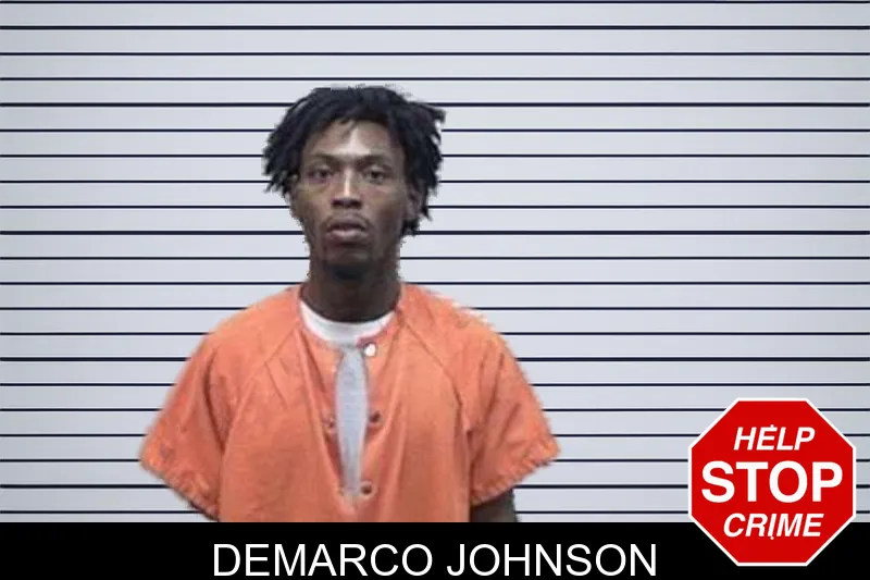 DeMarco Johnson mugshot – Tattnall County , Georgia DeMarco Johnson mugshot