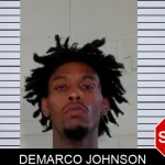 DeMarco Johnson mugshot – Liberty County , Georgia DeMarco Johnson mugshot