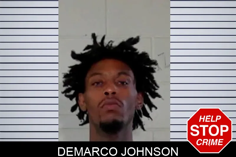 DeMarco Johnson mugshot – Liberty County , Georgia DeMarco Johnson mugshot