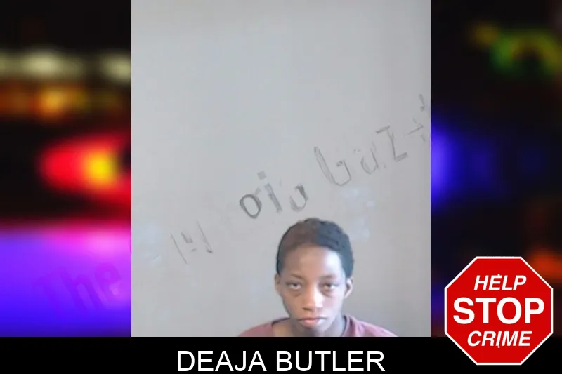 Deaja Butler mugshot – DeKalb County , Georgia Deaja Butler mugshot