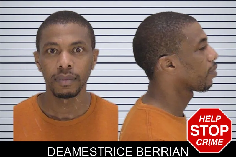 Deamestrice Berrian mugshot – Richmond County , Georgia Deamestrice Berrian mugshot