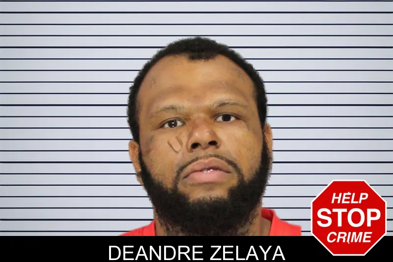 Deandre Zelaya mugshot – Cobb County , Georgia Deandre Zelaya mugshot