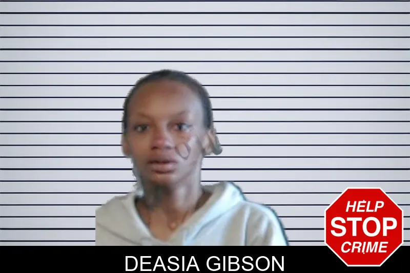Deasia Gibson mugshot – DeKalb County , Georgia Deasia Gibson mugshot