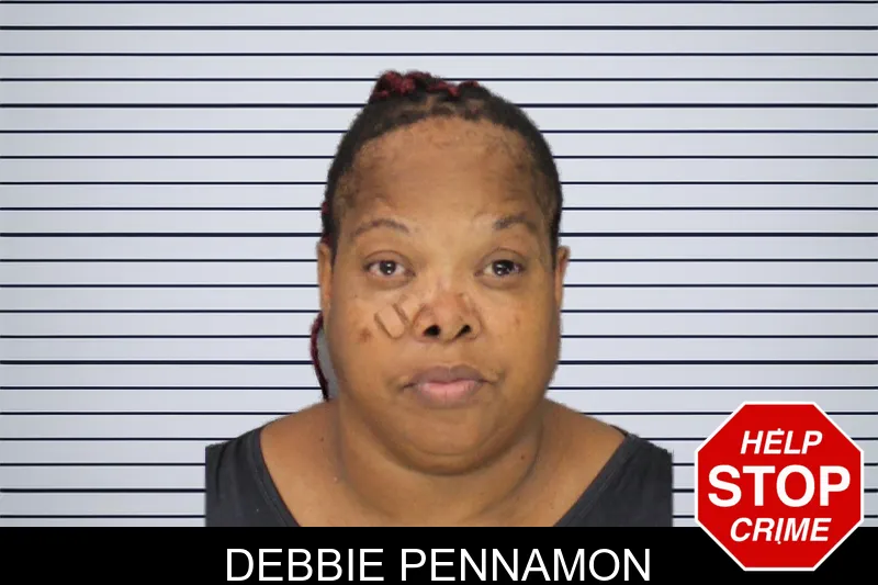 Debbie Pennamon mugshot