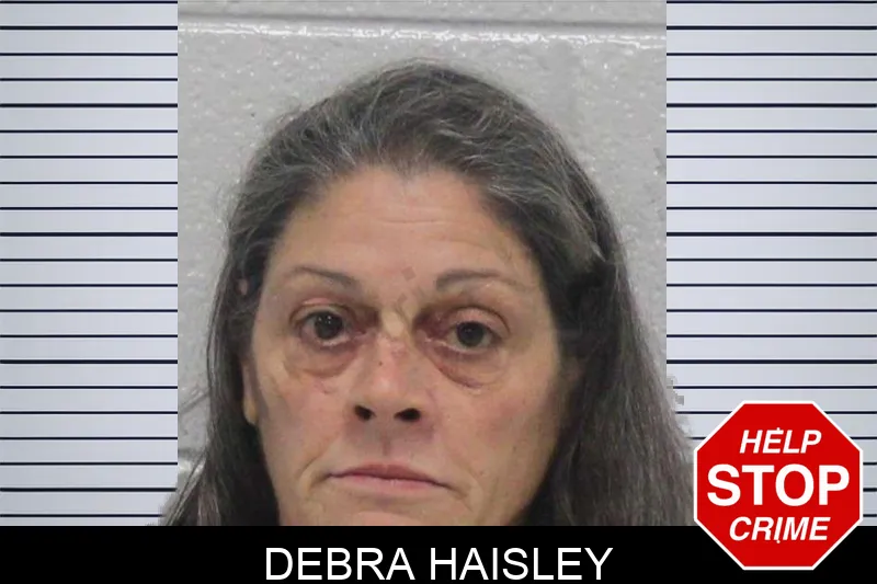 Debra Haisley mugshot – Carroll County , Georgia Debra Haisley mugshot