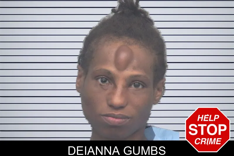 Deianna Gumbs mugshot – Gwinnett County , Georgia Deianna Gumbs mugshot