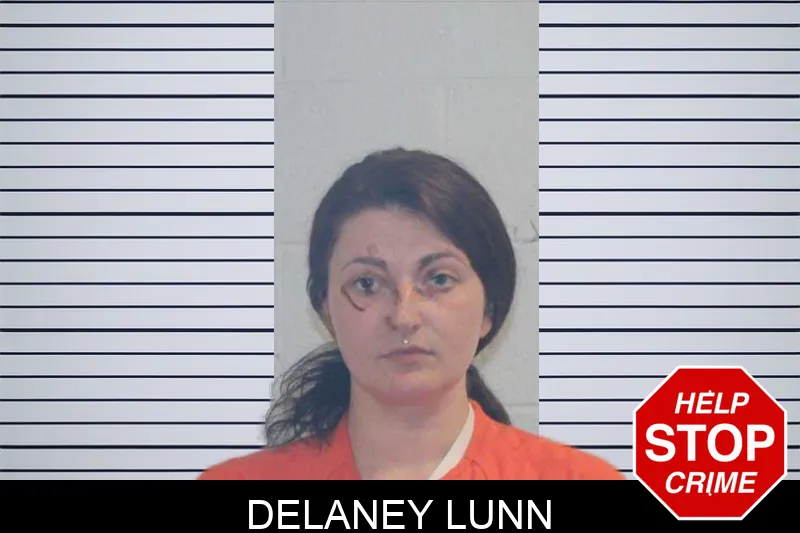 Delaney Lunn mugshot – McDuffie County , Georgia Delaney Lunn mugshot