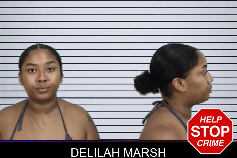 Delilah Marsh mugshot – Camden County , Georgia Delilah Marsh mugshot