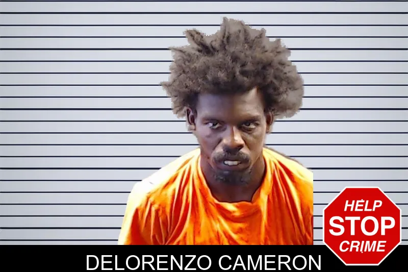 Delorenzo Cameron mugshot – DeKalb County , Georgia Delorenzo Cameron mugshot