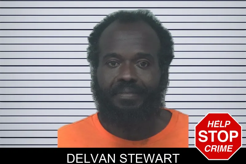 Delvan Stewart mugshot – Gwinnett County , Georgia Delvan Stewart mugshot