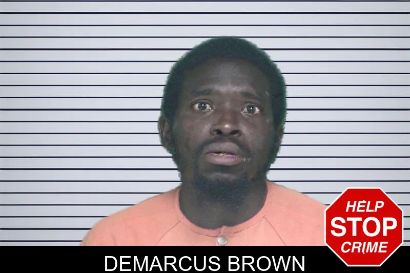 Demarcus Brown mugshot – Appling County , Georgia Demarcus Brown mugshot
