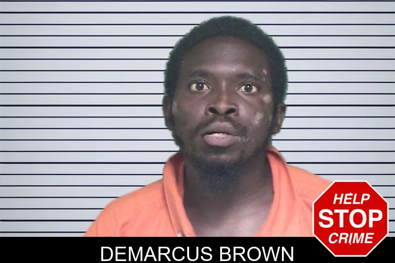 Demarcus Brown mugshot – Appling County , Georgia Demarcus Brown mugshot
