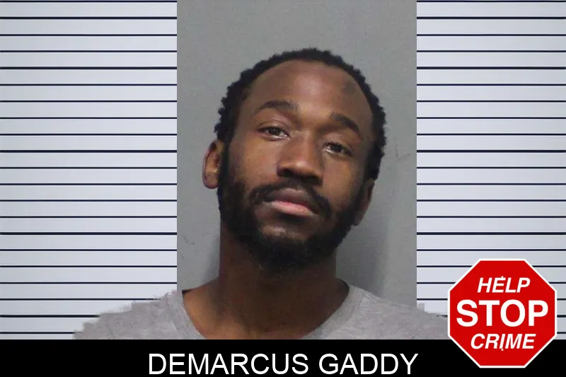 Demarcus Gaddy mugshot – White County , Georgia Demarcus Gaddy mugshot