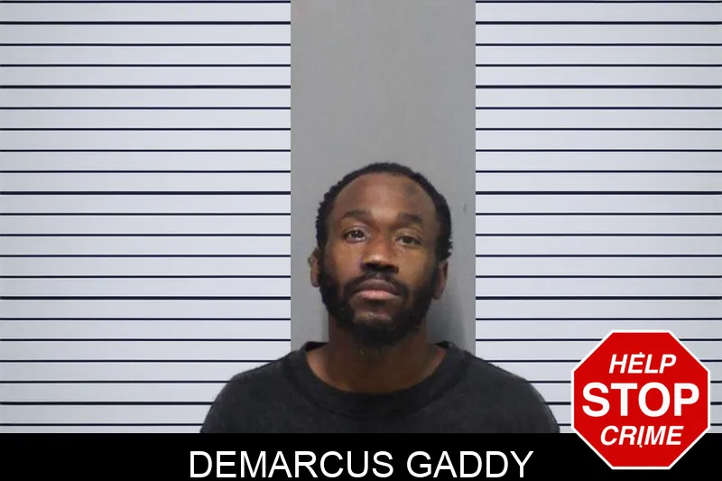 Demarcus Gaddy mugshot – White County , Georgia Demarcus Gaddy mugshot