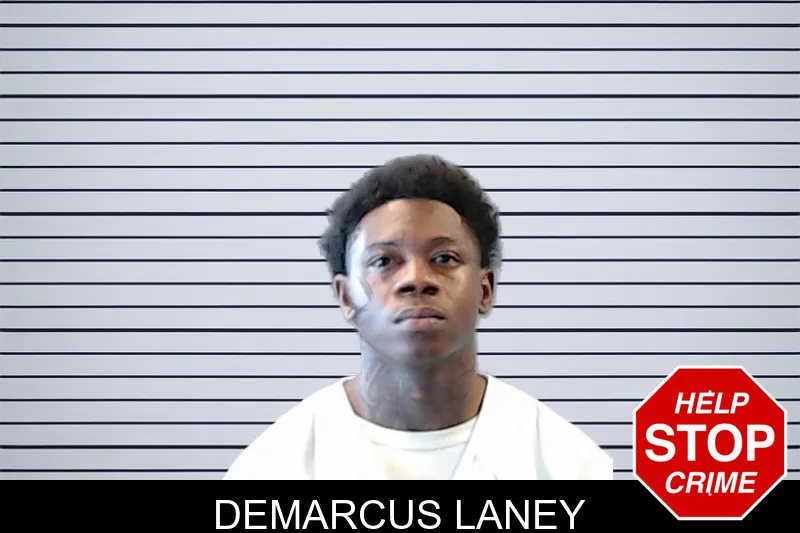 Demarcus Laney mugshot – DeKalb County , Georgia Demarcus Laney mugshot