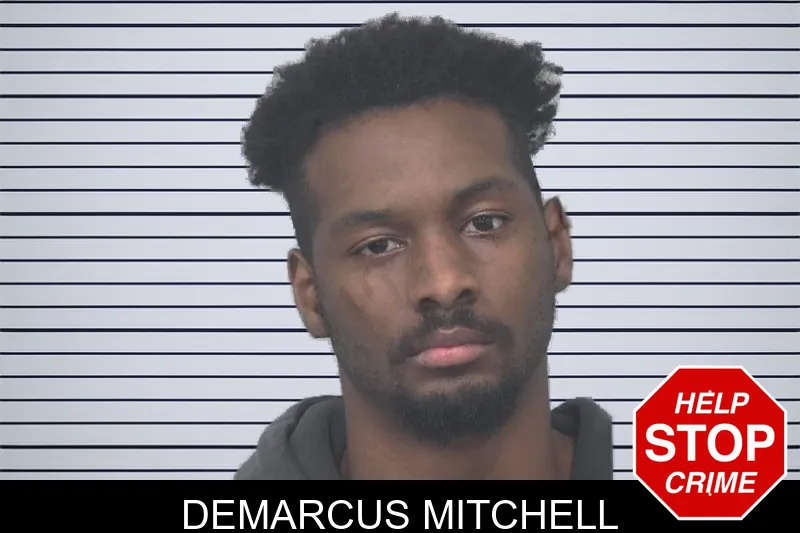 Demarcus Mitchell mugshot – Gwinnett County , Georgia Demarcus Mitchell mugshot