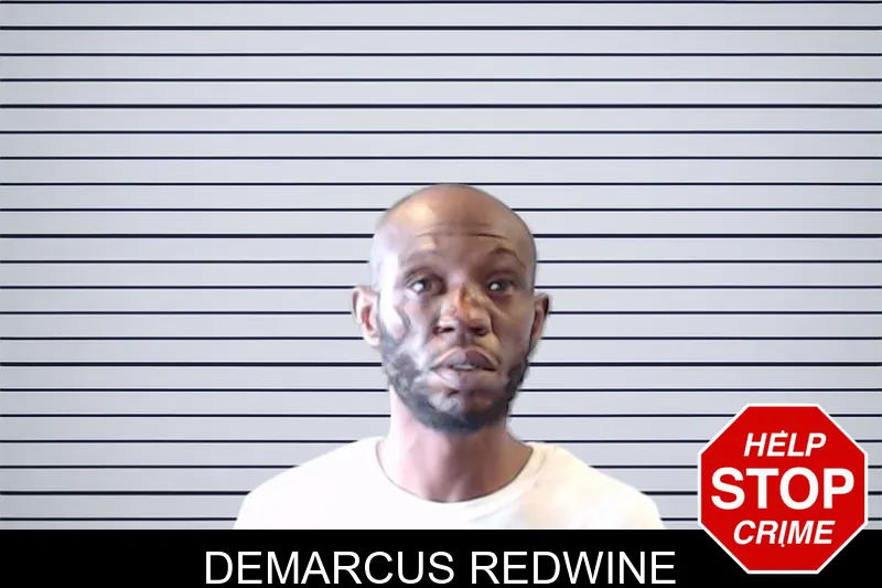 Demarcus Redwine mugshot – DeKalb County , Georgia Demarcus Redwine mugshot