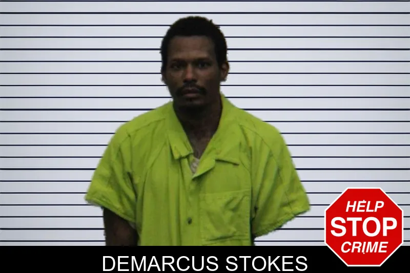 Demarcus Stokes mugshot