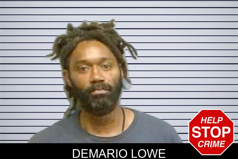 Demario Lowe mugshot – Fulton County , Georgia Demario Lowe mugshot