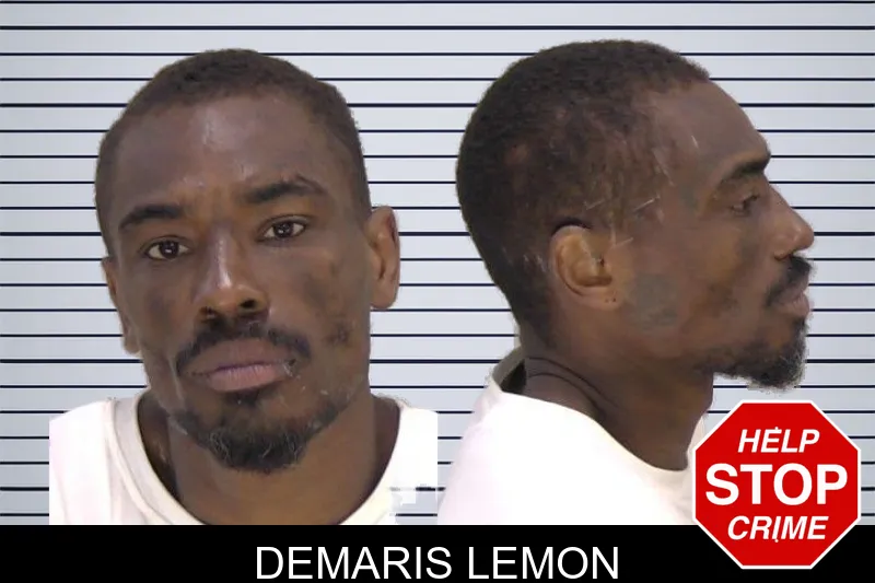 Demaris Lemon mugshot