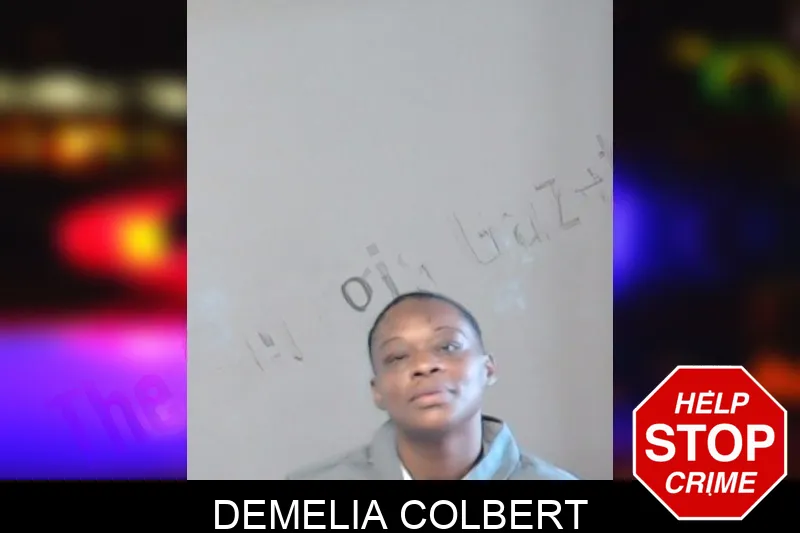 Demelia Colbert mugshot – DeKalb County , Georgia Demelia Colbert mugshot