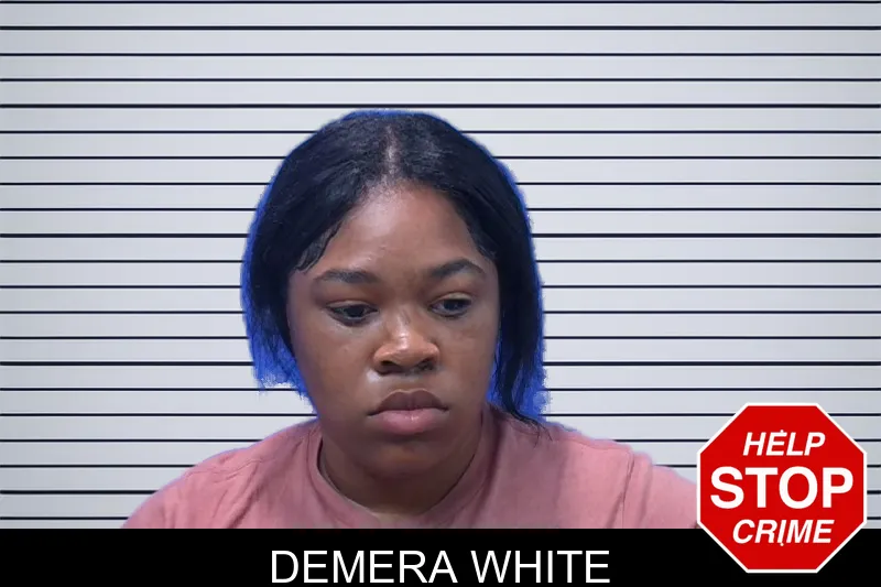 Demera White mugshot – Troup County , Georgia Demera White mugshot