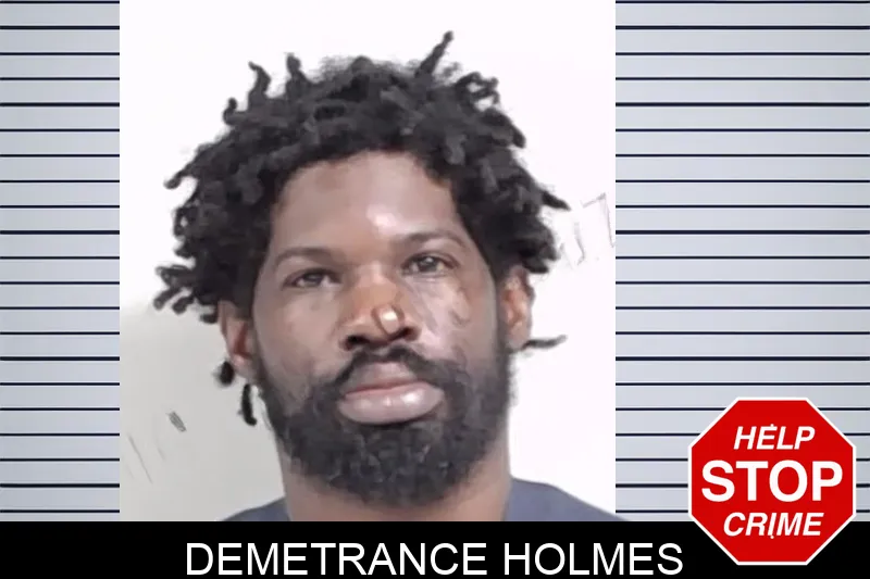 Demetrance Holmes mugshot – Lowndes County , Georgia Demetrance Holmes mugshot