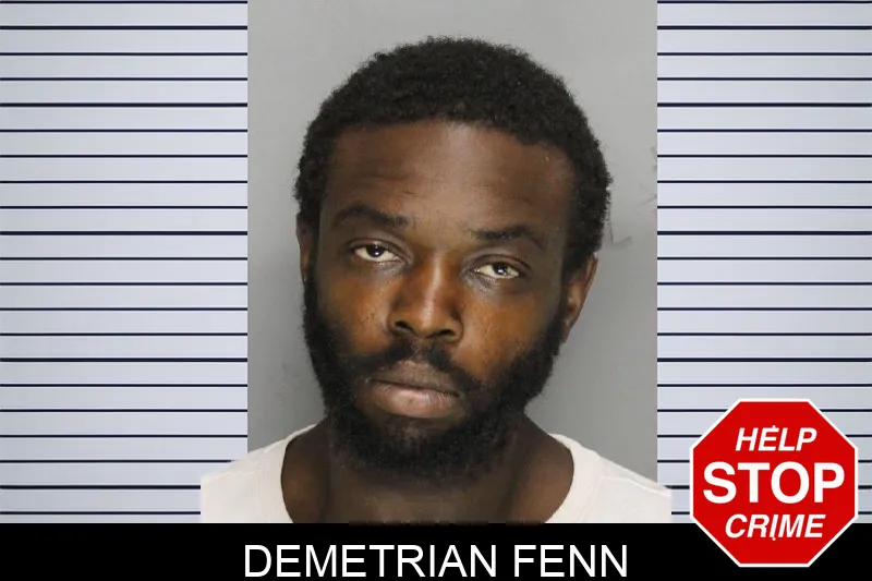 Demetrian Fenn mugshot