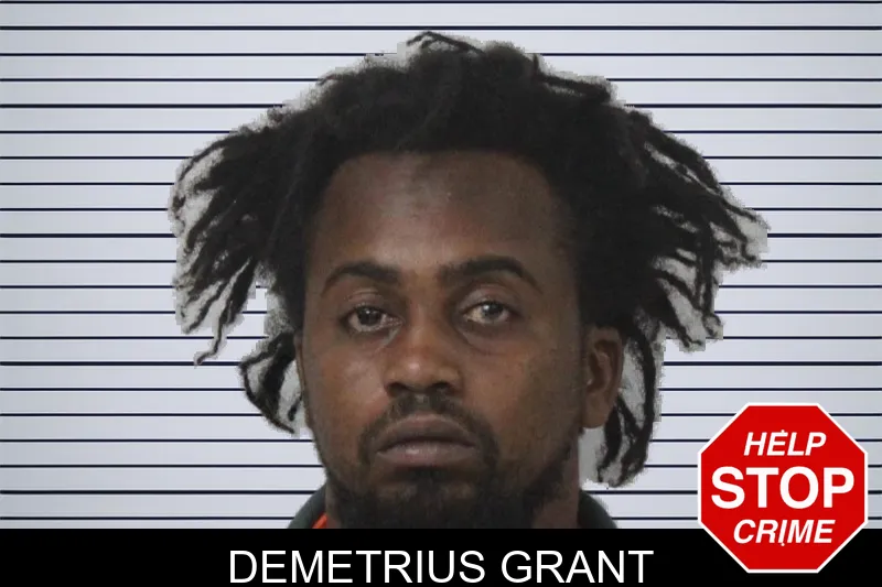 Demetrius Grant mugshot – Mcintosh County , Georgia Demetrius Grant mugshot