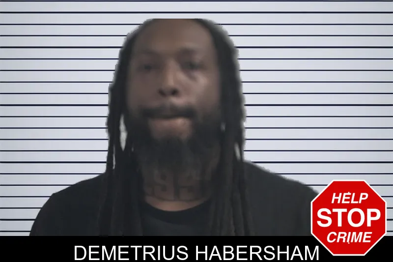Demetrius Habersham mugshot – McDuffie County , Georgia Demetrius Habersham mugshot