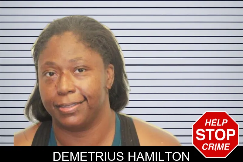 Demetrius Hamilton mugshot