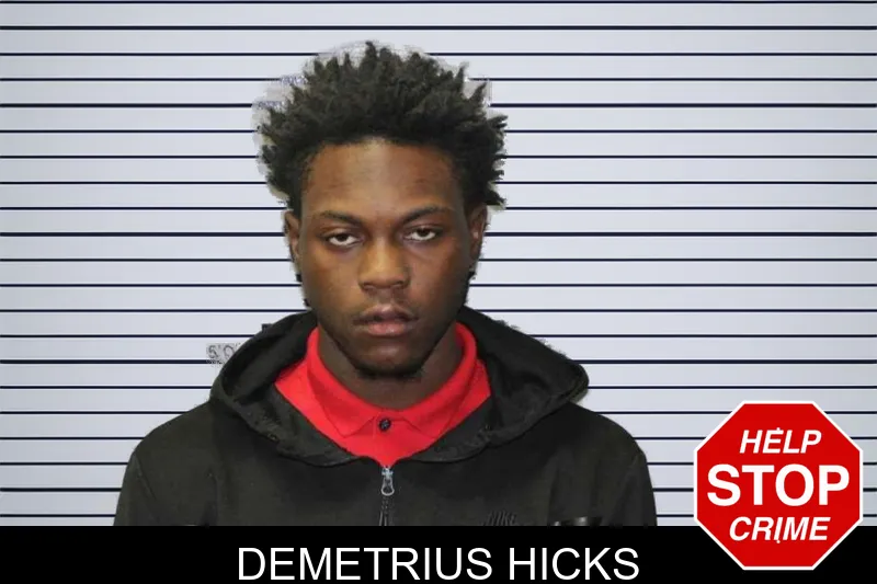 Demetrius Hicks mugshot