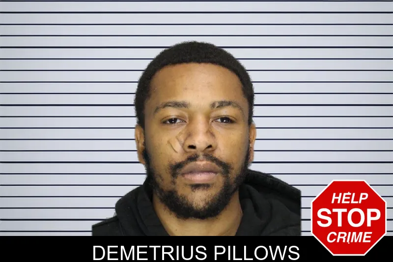 Demetrius Pillows mugshot – Cobb County , Georgia Demetrius Pillows mugshot