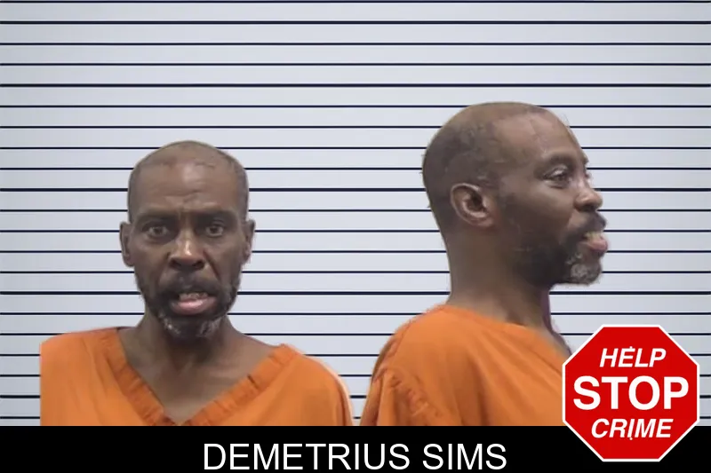 Demetrius Sims mugshot – Clarke County , Georgia Demetrius Sims mugshot