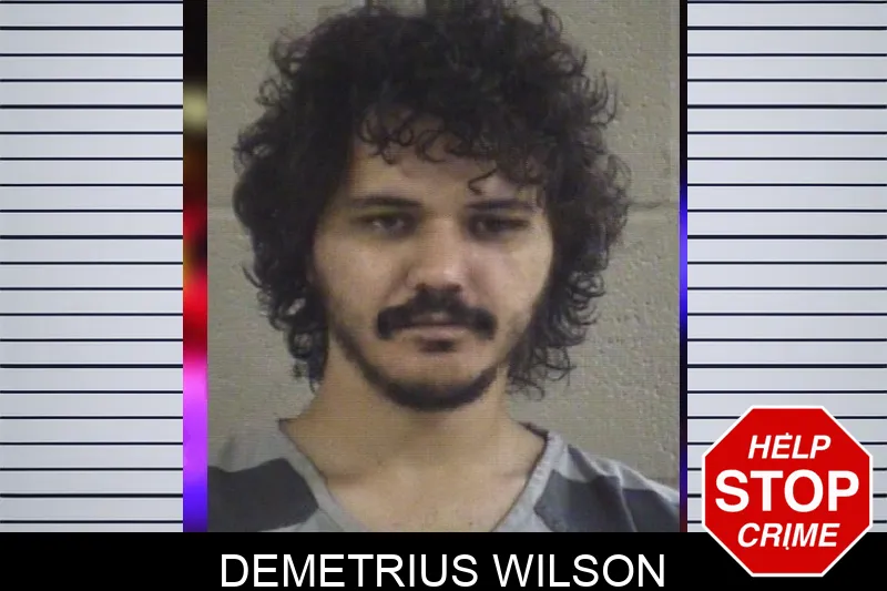 Demetrius Wilson mugshot – Whitfield County , Georgia Demetrius Wilson mugshot