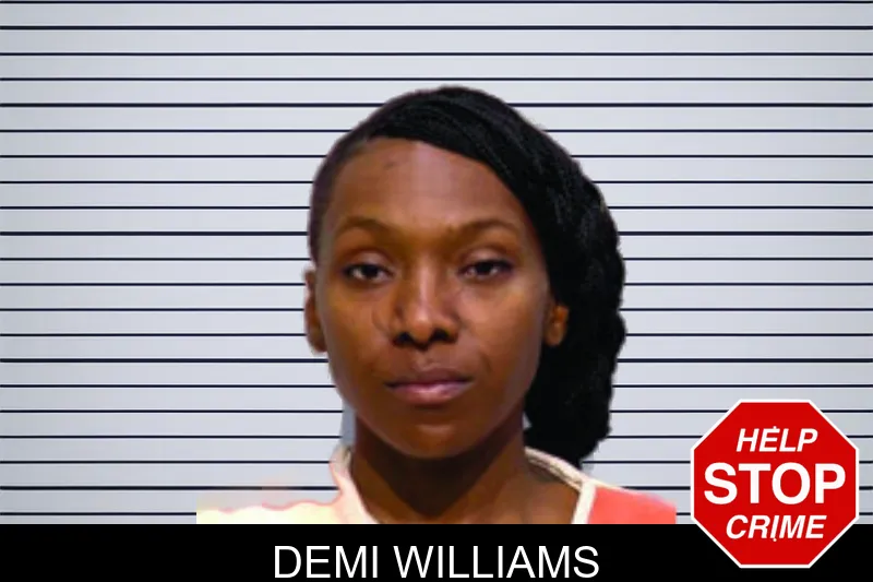 Demi Williams mugshot – Bartow County , Georgia Demi Williams mugshot