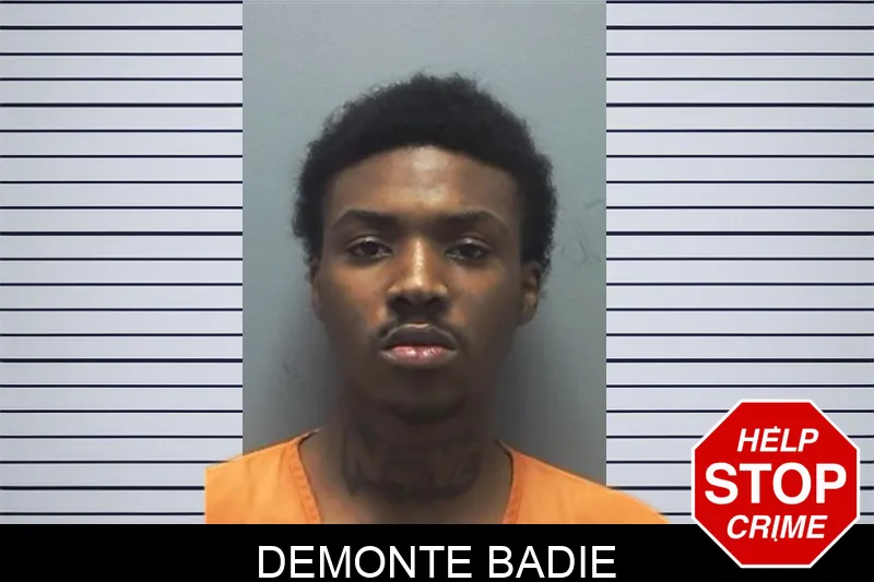 Demonte Badie mugshot – Cherokee County , Georgia Demonte Badie mugshot