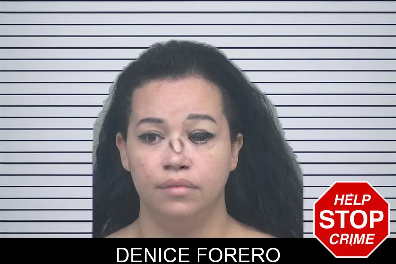 Denice Forero mugshot – Gwinnett County , Georgia Denice Forero mugshot