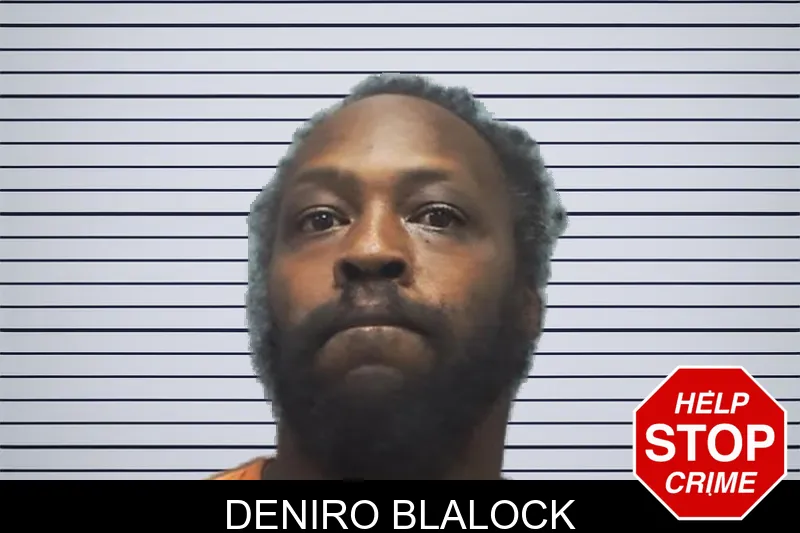 Deniro Blalock mugshot – Cherokee County , Georgia Deniro Blalock mugshot