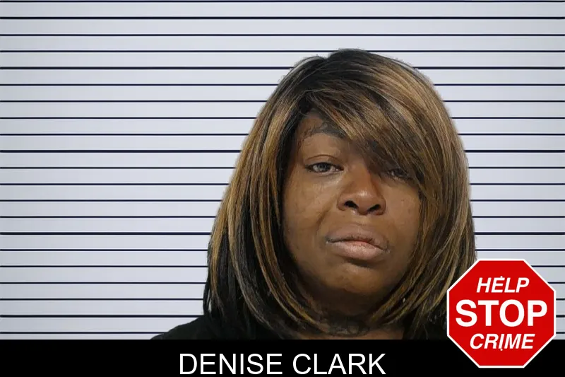 Denise Clark mugshot – Bibb County , Georgia Denise Clark mugshot